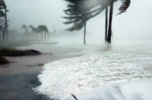 florida-summer-storm