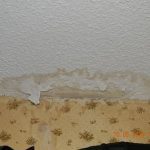 Continuous Seepage with Water Damage