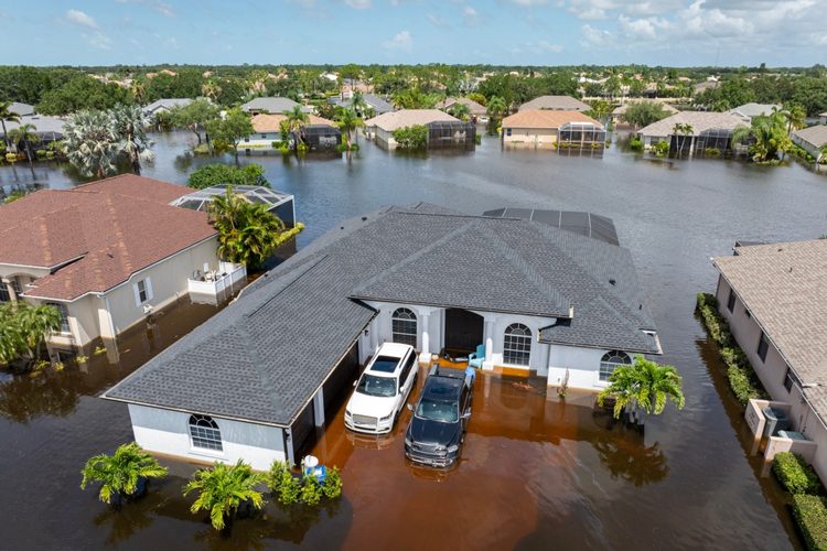 Insurance in Florida